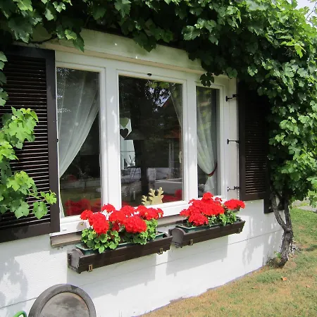 Haus Holunder Вайсбриах