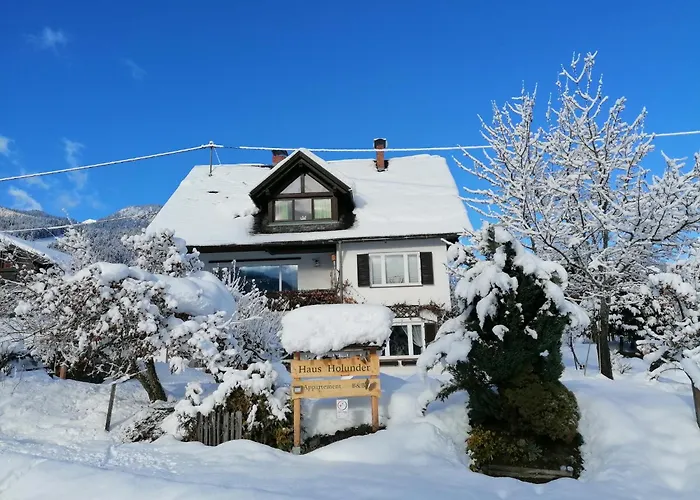 Apartamento Haus Holunder *