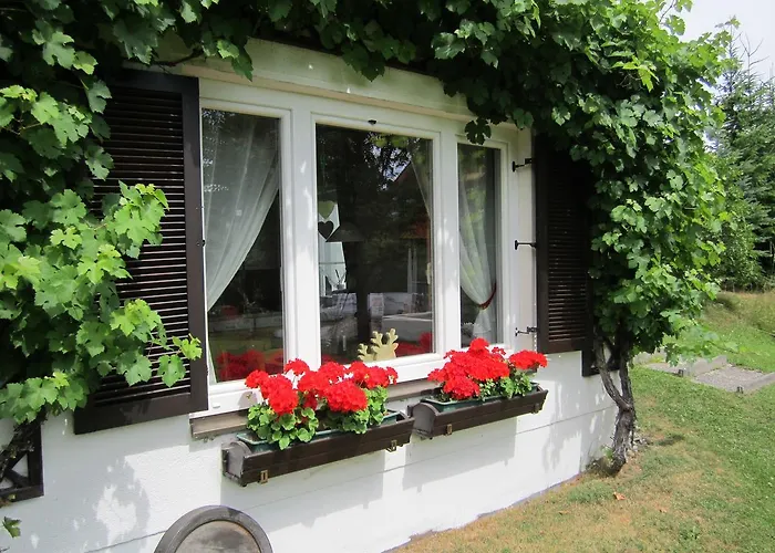 Haus Holunder Weissbriach